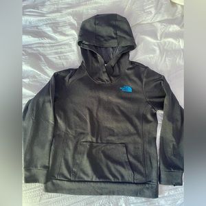 The North Face hoodie, size: L, color: grey